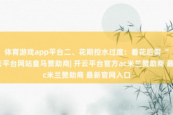 体育游戏app平台二、花期控水过度：着花后需 “松捆”-开云平台网站皇马赞助商| 开云平台官方ac米兰赞助商 最新官网入口