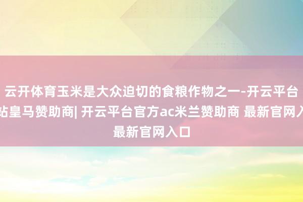 云开体育玉米是大众迫切的食粮作物之一-开云平台网站皇马赞助商| 开云平台官方ac米兰赞助商 最新官网入口