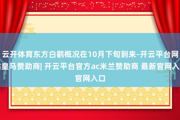 云开体育东方白鹳概况在10月下旬到来-开云平台网站皇马赞助商| 开云平台官方ac米兰赞助商 最新官网入口